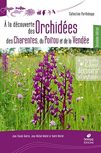 À la découverte des orchidées des Charentes, du Poitou et de la Vendée