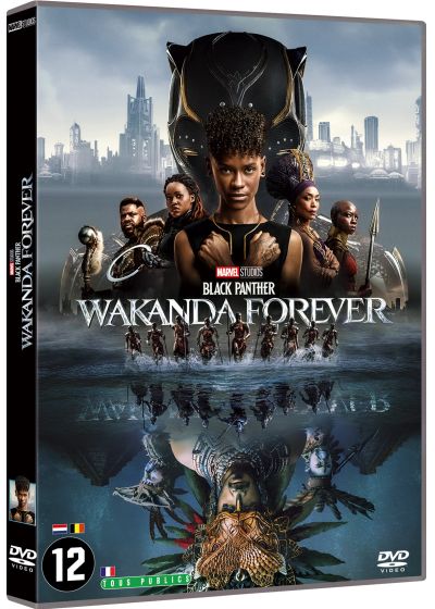 Black Panther 02 - Wakanda forever