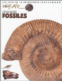 Enigme des fossiles
