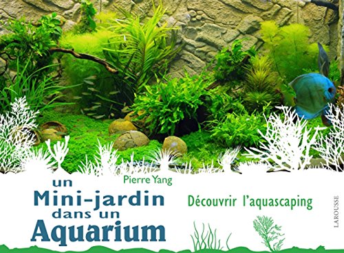 Un mini-jardin dans un aquarium